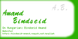 amand bindseid business card